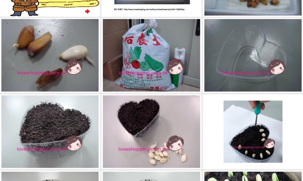 四年级上册语文_第二单元_观察日记_习作