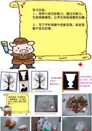 四年级上册语文_第二单元_观察日记_习作