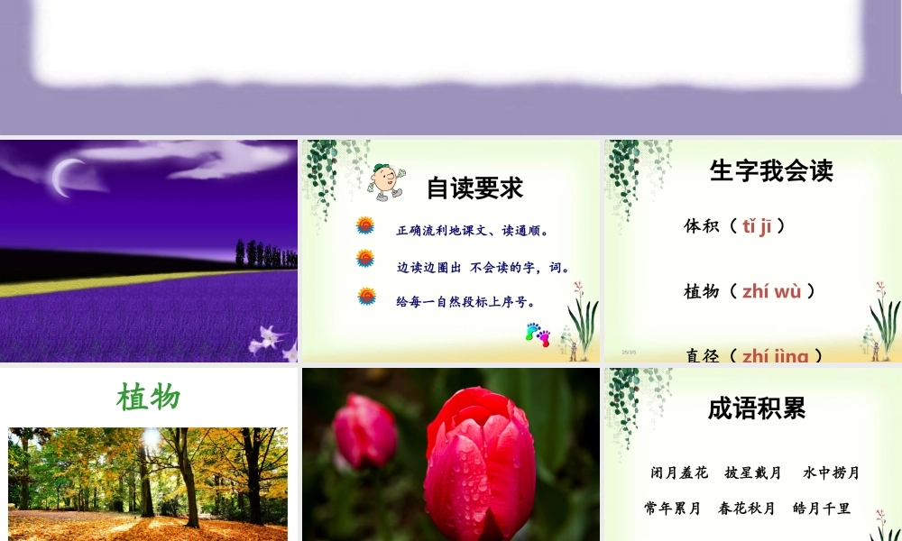 《月亮的自述》课件