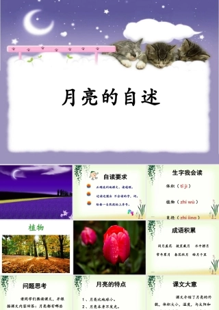 《月亮的自述》课件