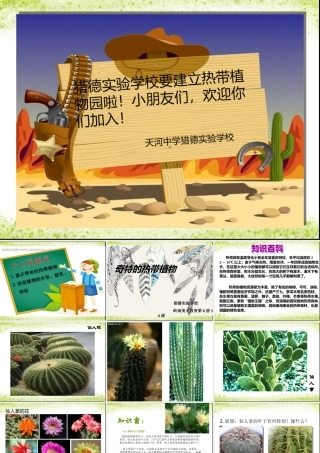 奇特的热带植物