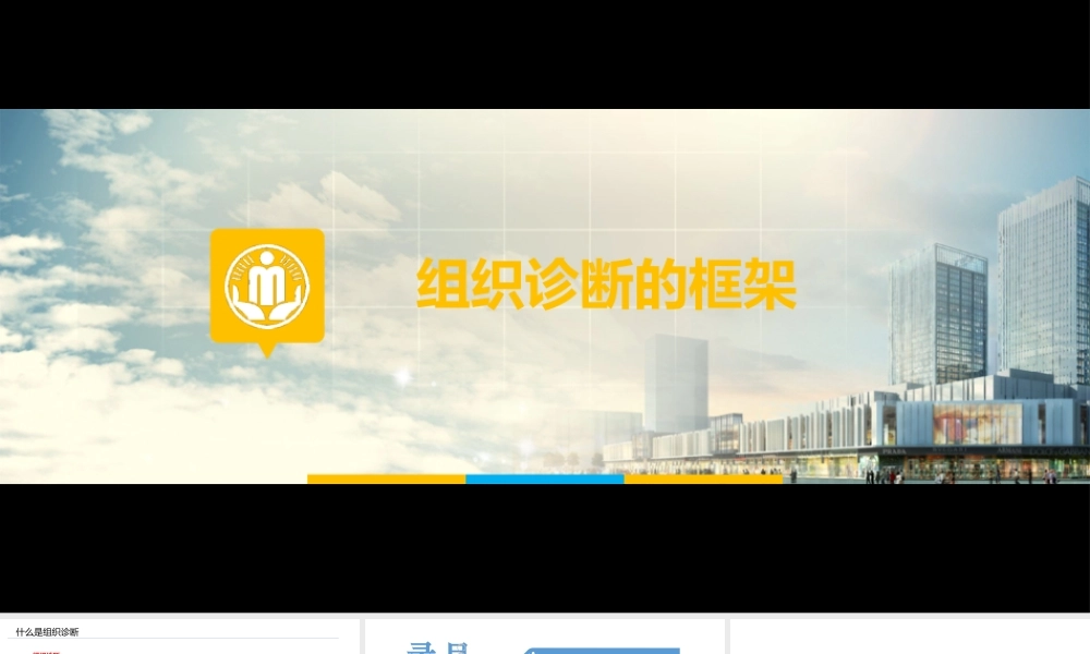 组织诊断的框架