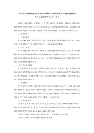 C影子教师个人专业发展规划
