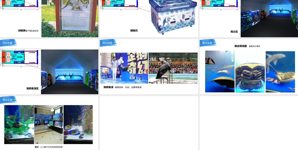 房地产项目海洋展活动策划方案