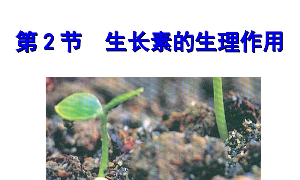 植物生长素的生理作用