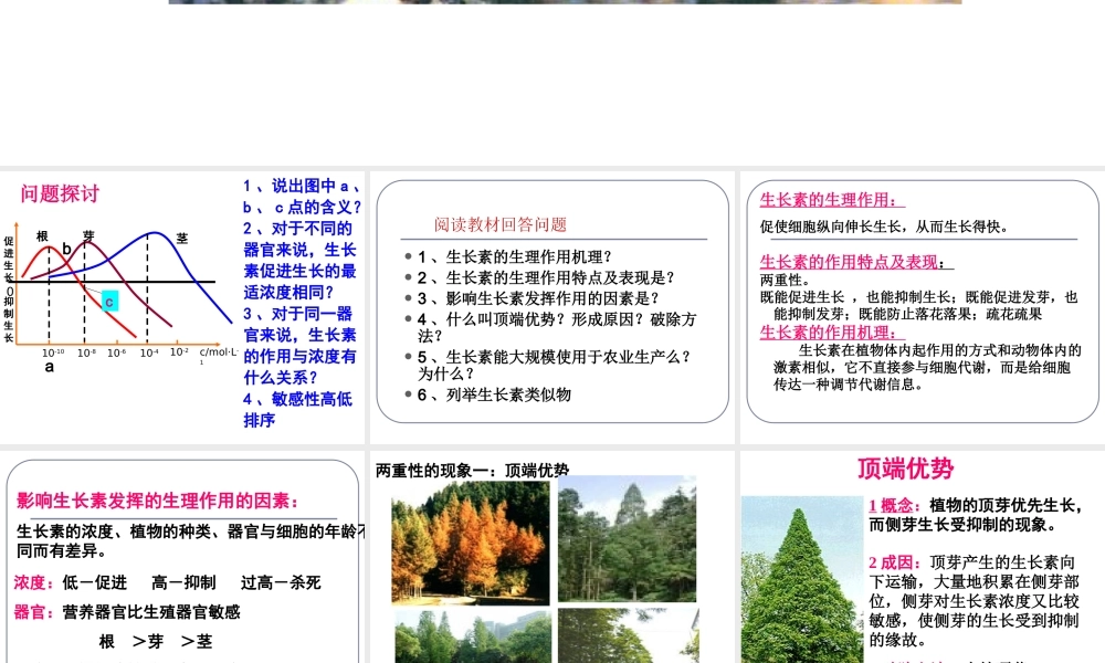 植物生长素的生理作用