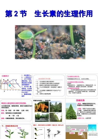 植物生长素的生理作用