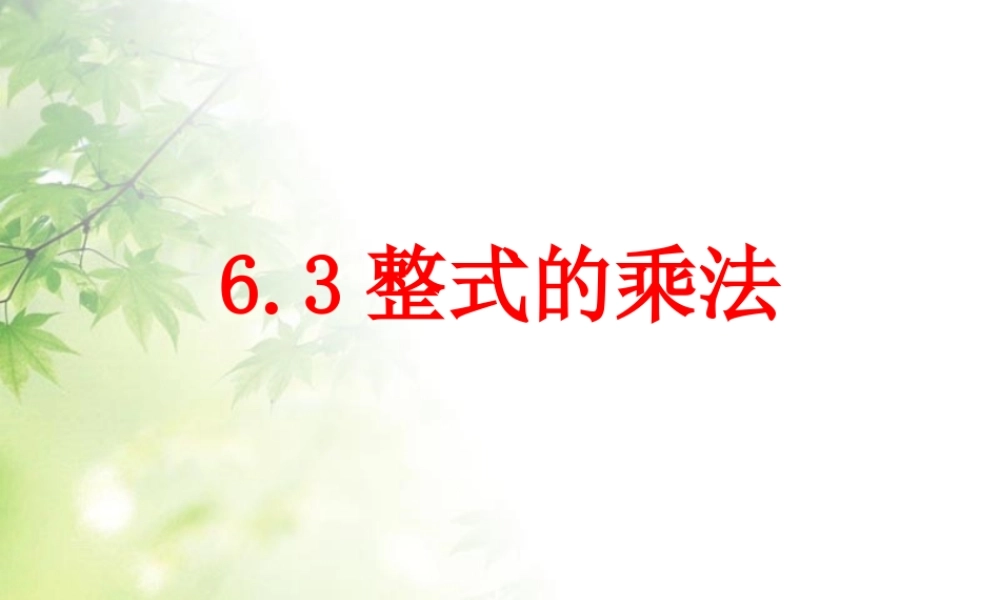 《整式的乘法》课件2
