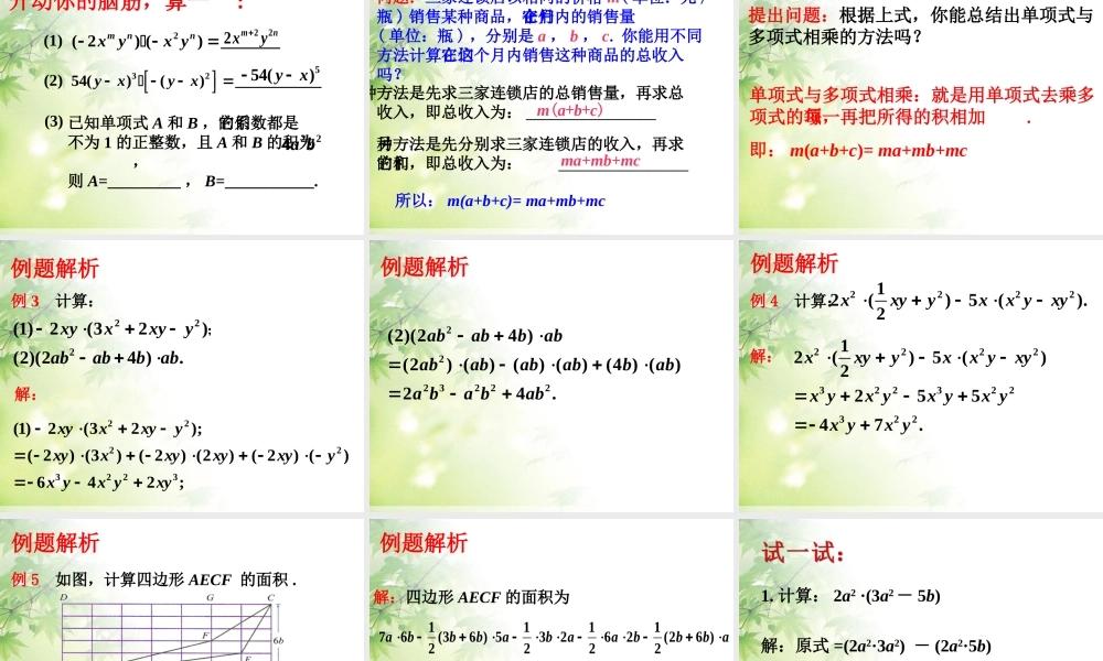 《整式的乘法》课件2