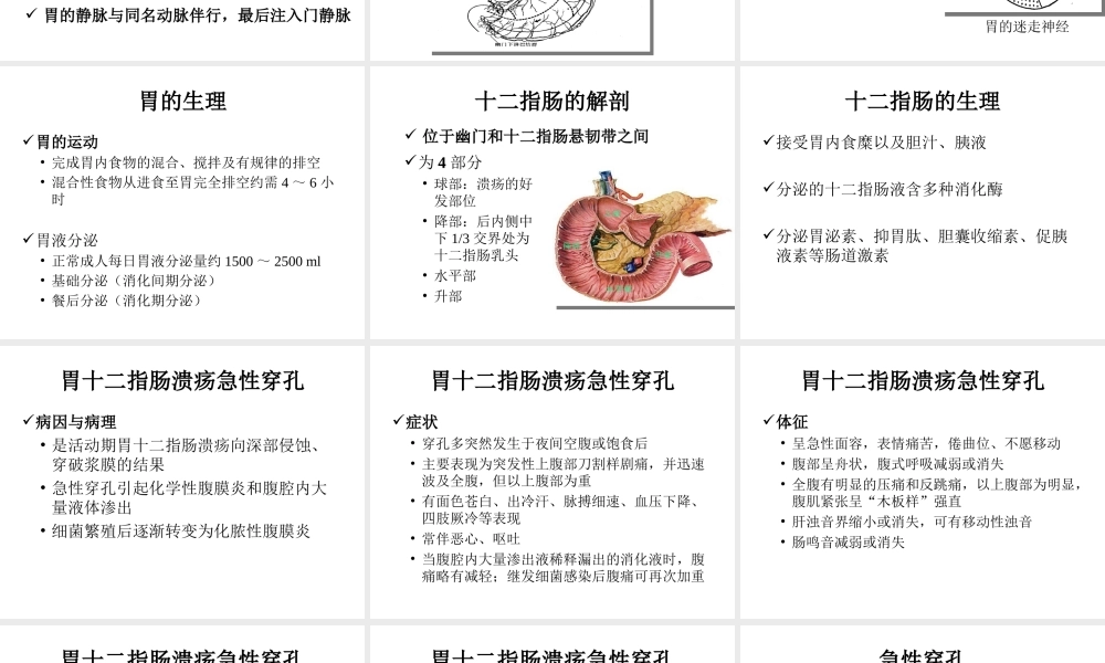 胃十二指肠溃疡穿孔护理
