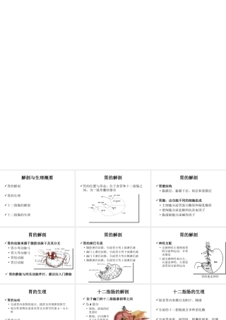 胃十二指肠溃疡穿孔护理