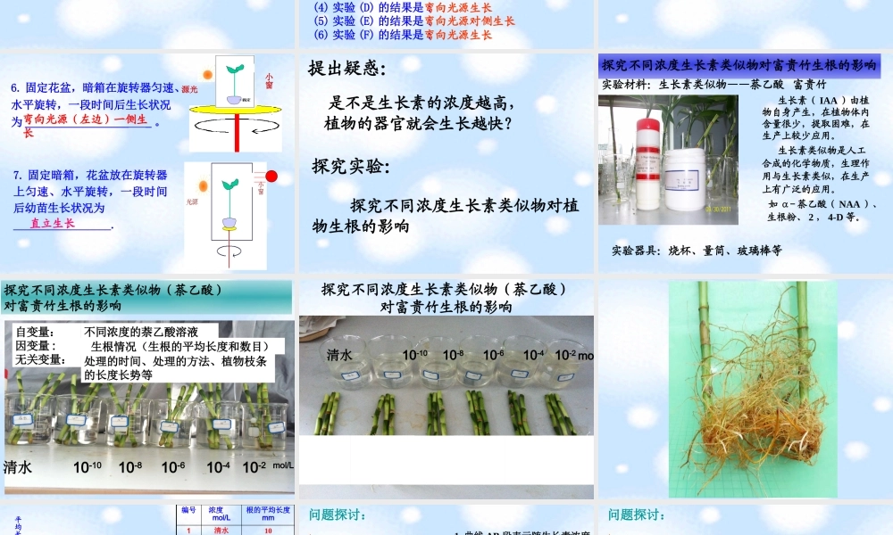 生长素的合成运输分布及生理作用