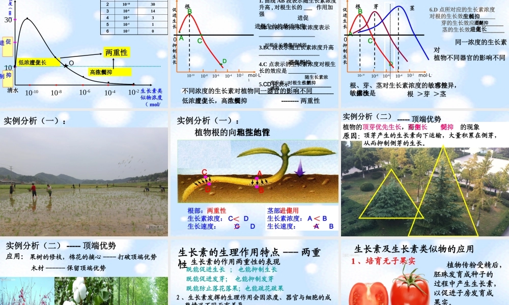 生长素的合成运输分布及生理作用