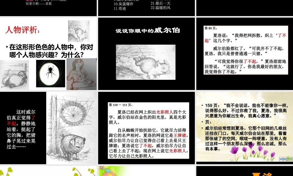 《夏洛的网》主题探讨