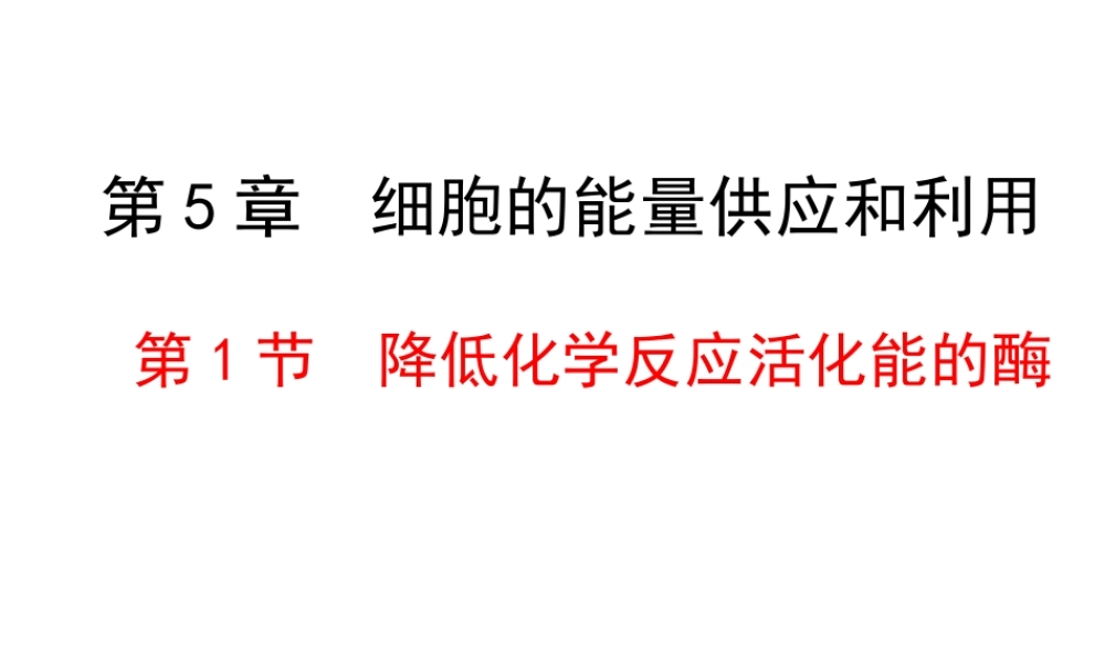 降低化学反应活化能的酶 课件(共39张ppt)