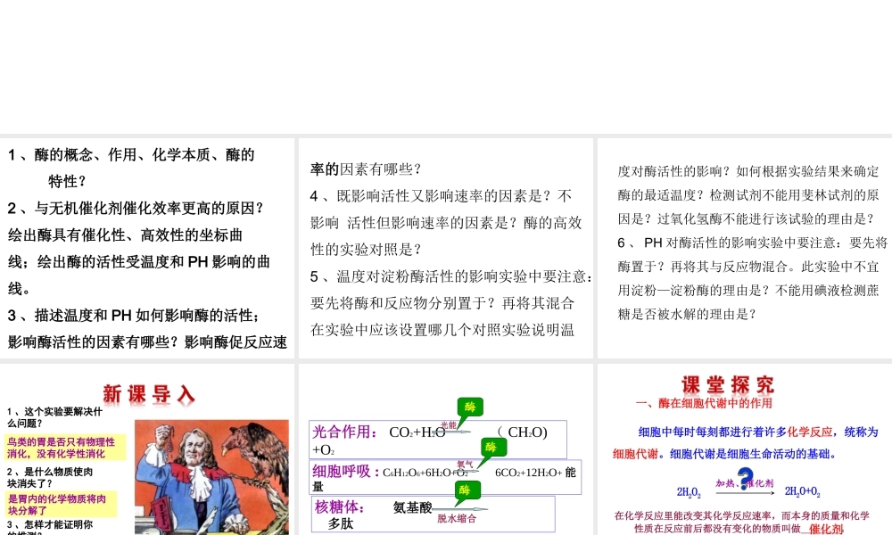 降低化学反应活化能的酶 课件(共39张ppt)