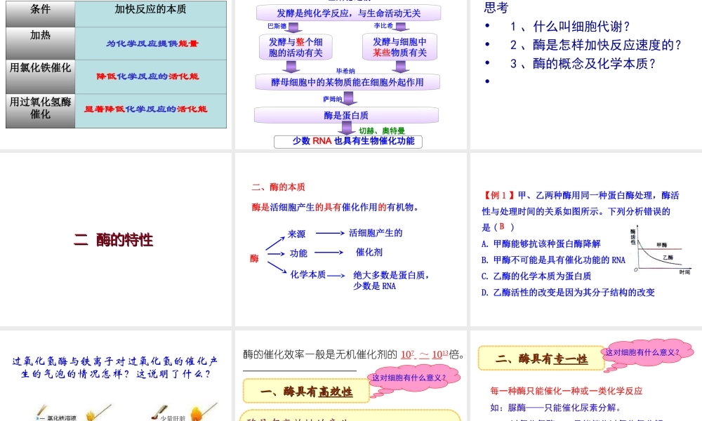 降低化学反应活化能的酶 课件(共39张ppt)