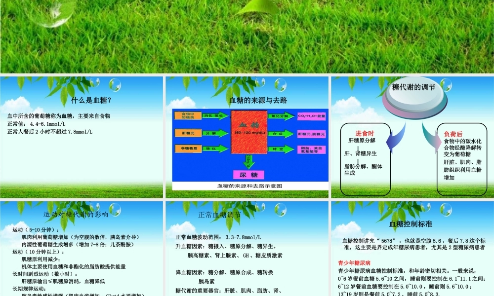 异常血糖处理及健康教育