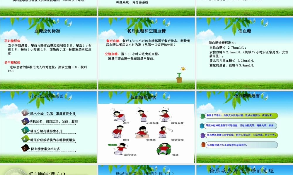 异常血糖处理及健康教育