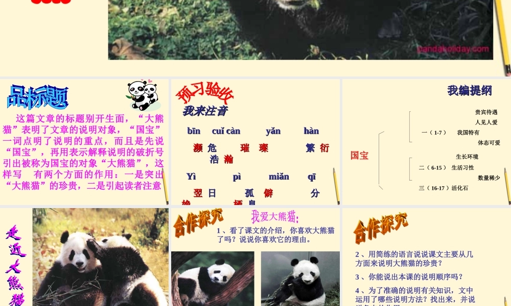 国宝------大熊猫