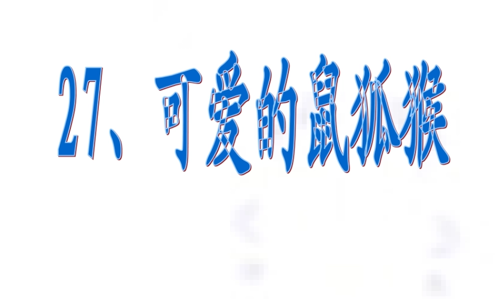 可爱的鼠狐猴三年级