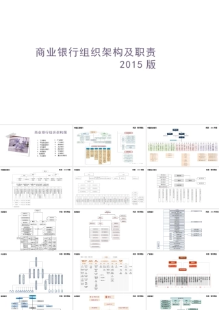 商业银行组织架构及分行支行组织架构2015