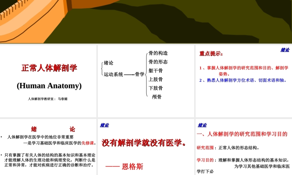 解剖学(运动系统)