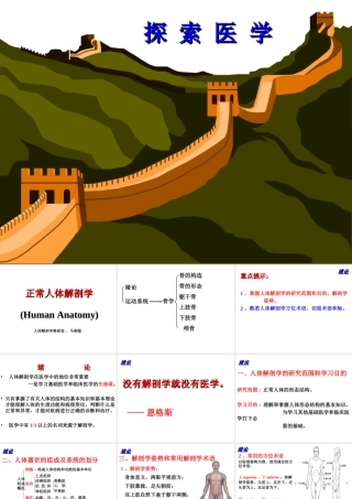 解剖学(运动系统)