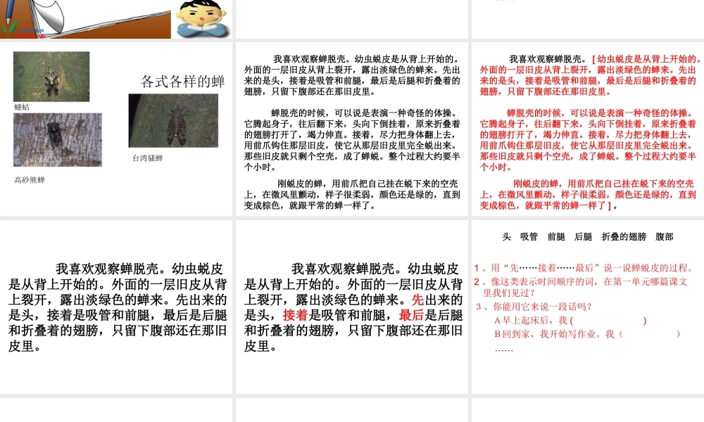 MicrosoftPowerPo《10蝉》int演示文稿