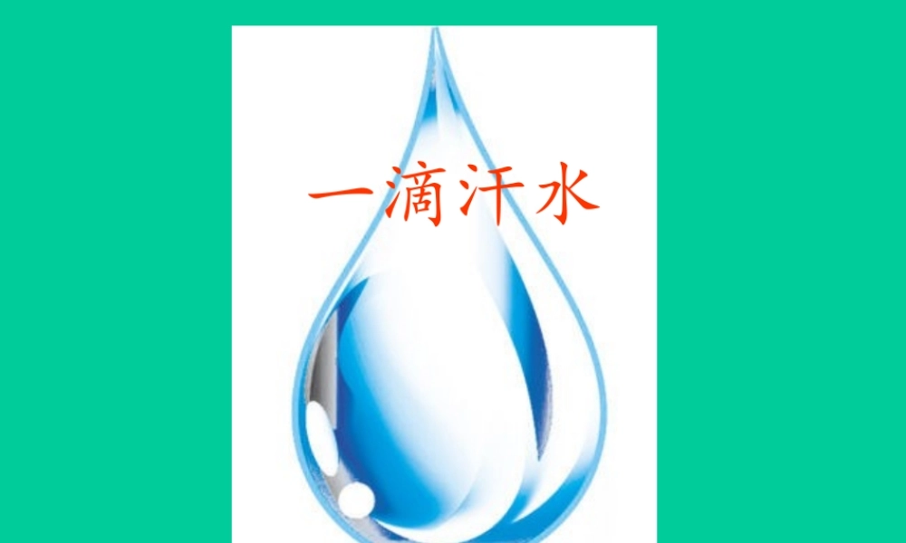 作文指导-细节描写