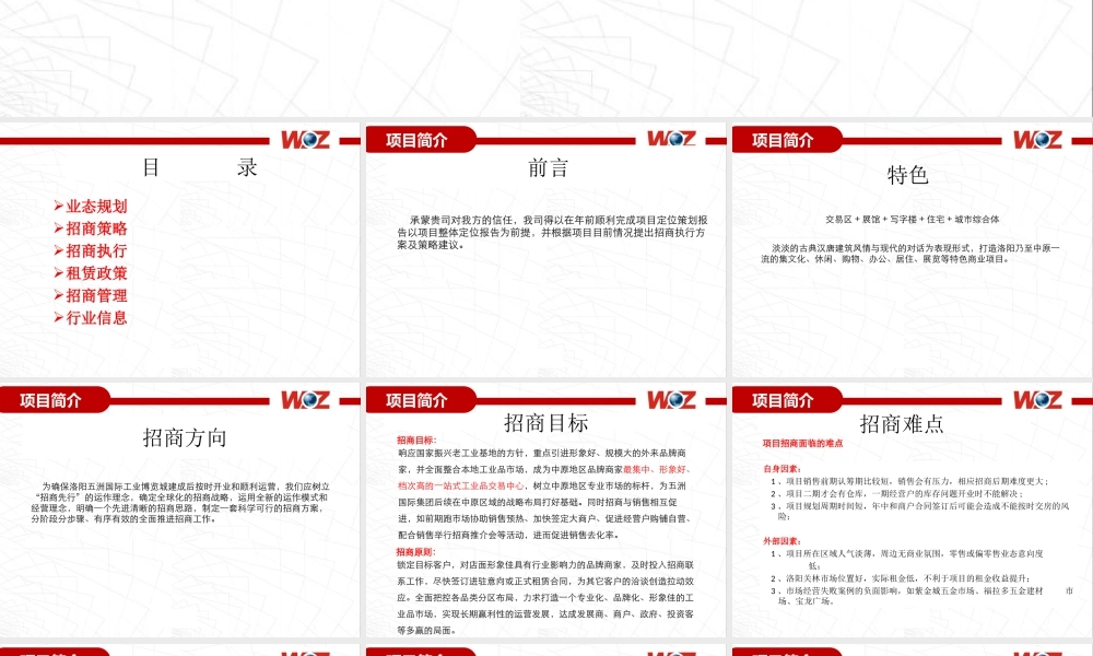 商业地产 招商执行方案