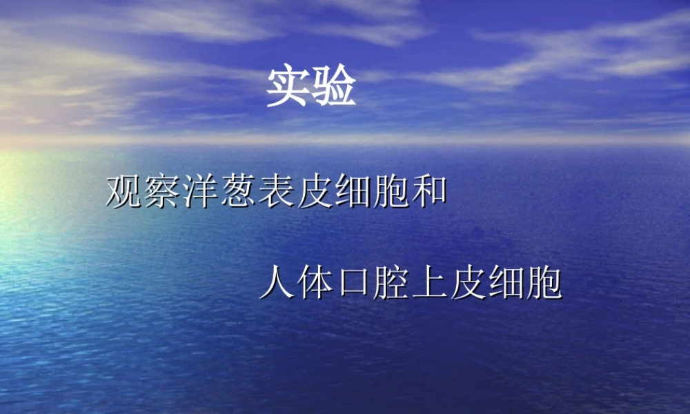 观察洋葱表皮细胞和   人体口腔上皮细胞   (