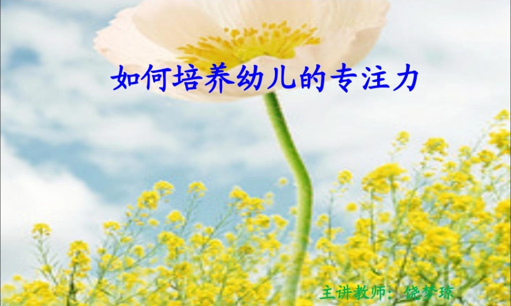 课件-孩子注意力的培养