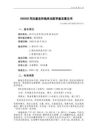 司法鉴定书模板、样式、案例