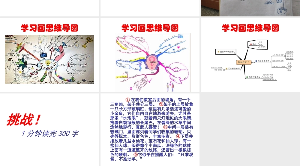 小学思维导图(1)