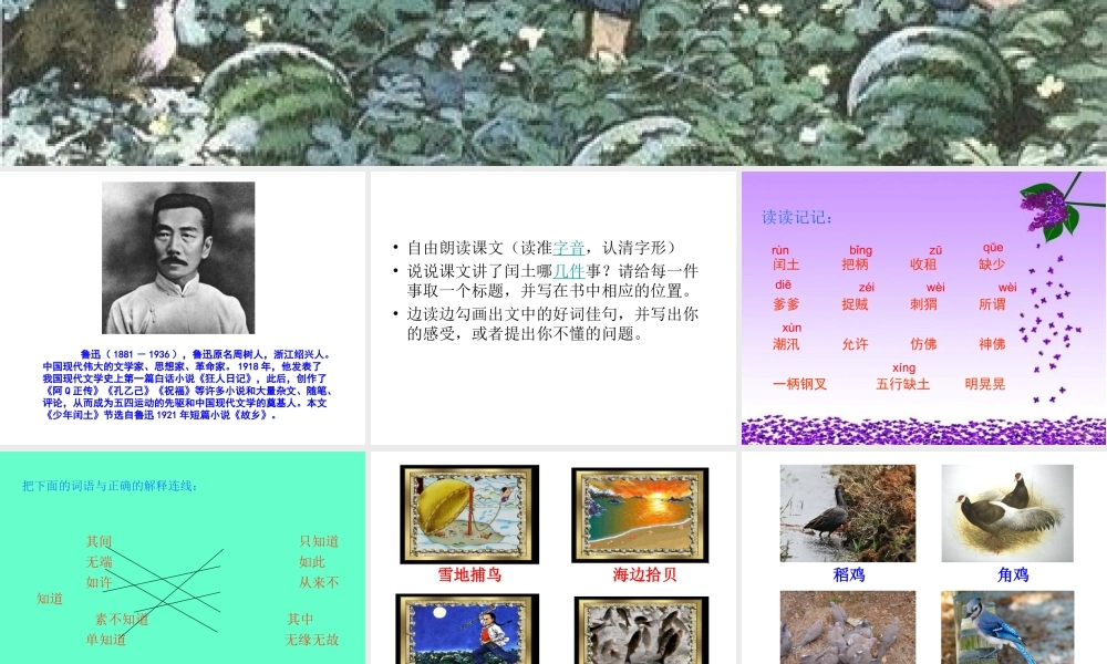 《少年闰土》课件