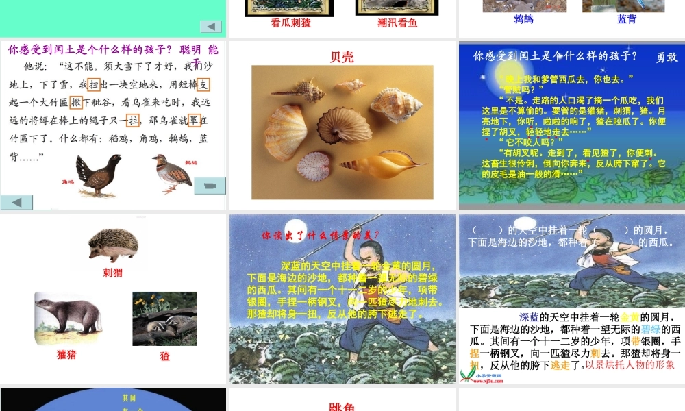 《少年闰土》课件