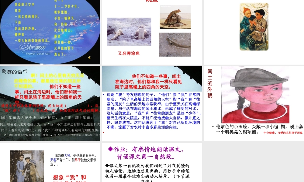 《少年闰土》课件