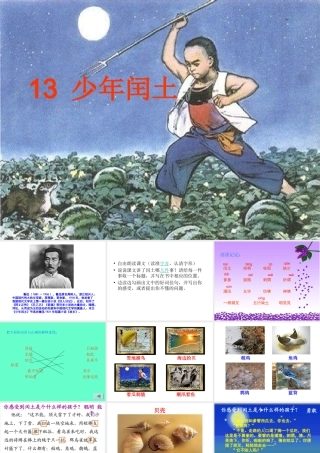 《少年闰土》课件