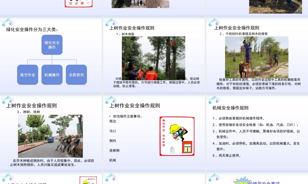 绿化安全作业培训