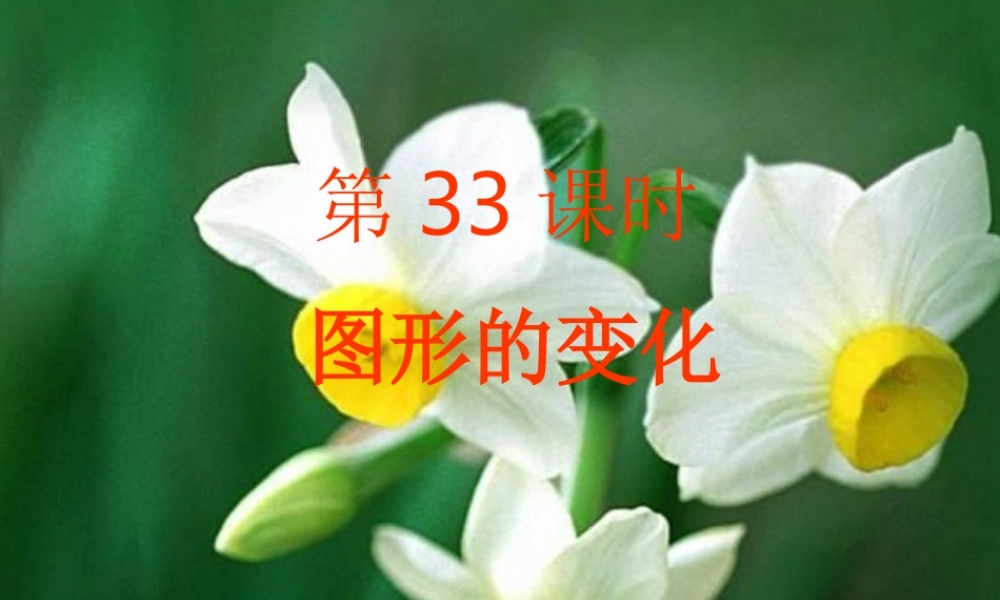 中招复习33课时-图形的变化PPT