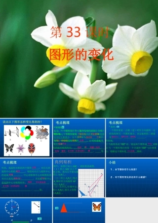 中招复习33课时-图形的变化PPT