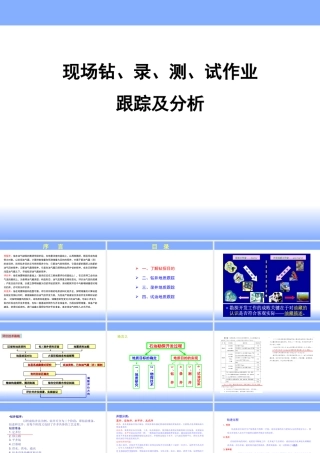 现场钻井、录井、测井、试油作业跟踪及分析