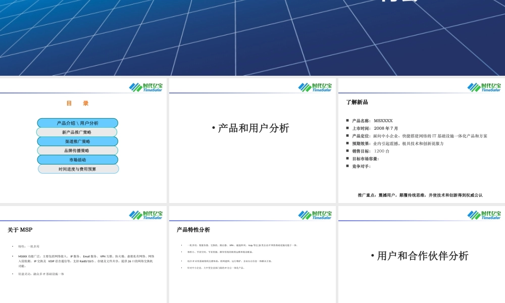 品牌推广年度规划与预算案例