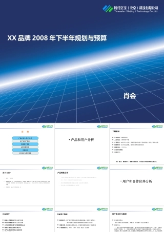 品牌推广年度规划与预算案例