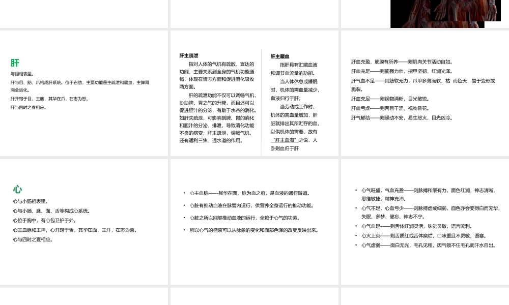 中医基础及面、背诊(完成)