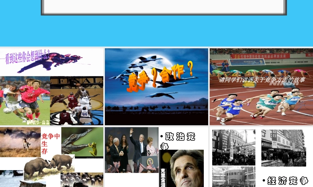 竞争？合作？课件