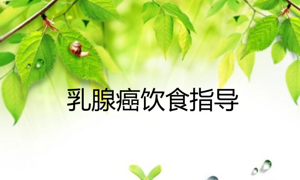 乳腺癌饮食指导