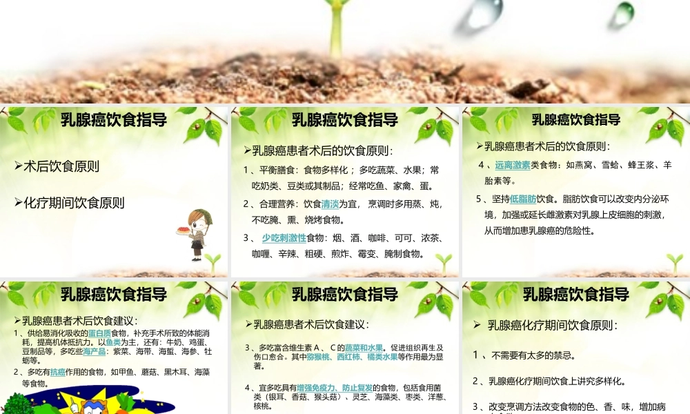 乳腺癌饮食指导