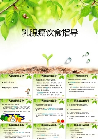 乳腺癌饮食指导